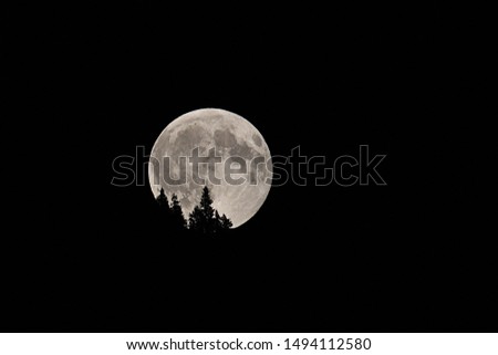 Full moon with trees in the moon.