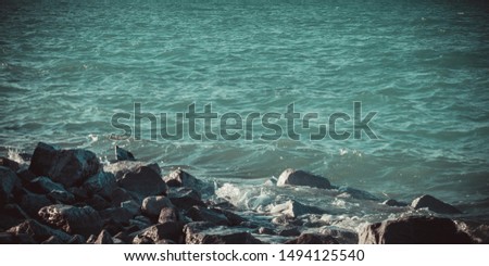 lakeside with stones and blue water