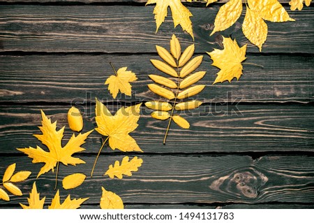 Creative autumn composition. Golden leaves on dark wooden background top view copy space. Fall concept. Autumn background. Minimal concept idea, floral design. Vintage style