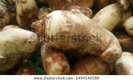 Closeup view of taro vegetable pile for sale in market. Fresh taro also called Colocasia esculenta in scientific name. Royalty-Free Stock Photo #1494140588