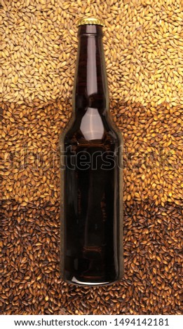 3 types of barley malt for beer.