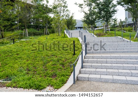 Stone path and maintained plant