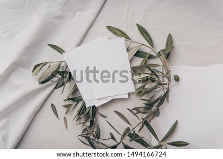 Summer wedding cards mock-up scene. Blank greeting card, invitation. Olive branch. Flat lay, top view.