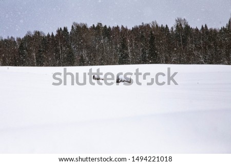 A snowy field beside a forest. 