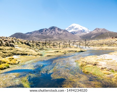High Andean tundra landscape in the mountains of the Andes. The weather Andean Highlands Puna grassland ecoregion, of the montane grasslands and shrublands biome. Royalty-Free Stock Photo #1494234020
