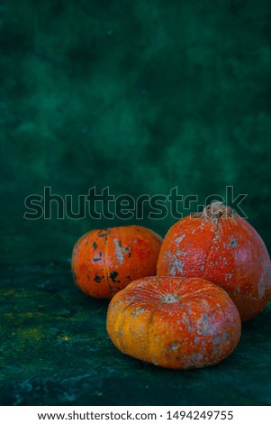 Three pumpkins in a texture on a dark background. Halloween mood