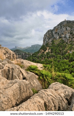 Landscape with valley and mountains, Mallorca, Balearic islands, Spain