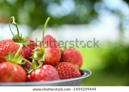 
Strawberries in a bowl on a wooden table, outdoors on a green blurred background of leaves and trees