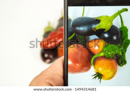 photo of vegetables taken with mobile phone on White isolated background