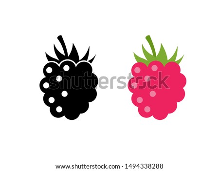 Raspberry vector icon illustration. Flat berry sweet healthy organic fruit raspberry blackberry.