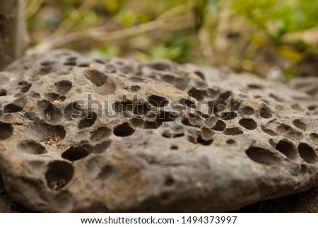 A large rock with lots of holes