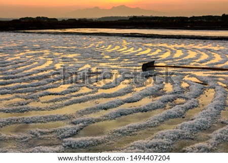 Beautiful morning, sunrise on Salt Ponds, Jepara, Central Java, Indonesia, with the salt that is scratched with a rake on a pond, which forms a wavy pattern