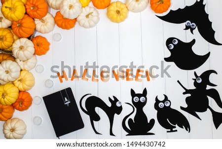 Halloween background with pumpkins, a bat, a owl, a black book, two cats, a ghost and a black paper witch on white backdrop. Copy space for text. Festive concept. Thanksgiving concepts.