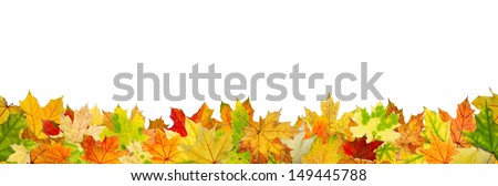 Seamless pattern of autumn leaves, lying on the ground. Royalty-Free Stock Photo #149445788