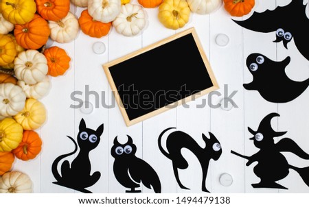 Halloween background with pumpkins, a bat, a owl, a black book, two cats, a ghost and a black paper witch on white backdrop. Copy space for text. Festive concept. Thanksgiving concepts.