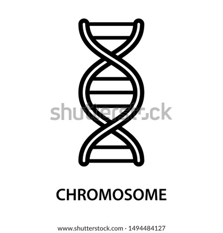 Chromosome icon. Stroke outline style. Vector. Isolate on white background.