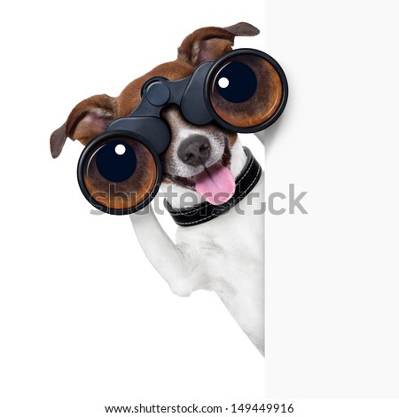 binoculars dog searching, looking and observing Royalty-Free Stock Photo #149449916