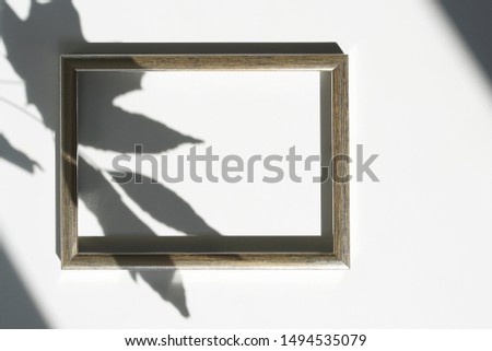 Abstract shadow background of natural autumn leaves and gold frame mock up on white background . copy space