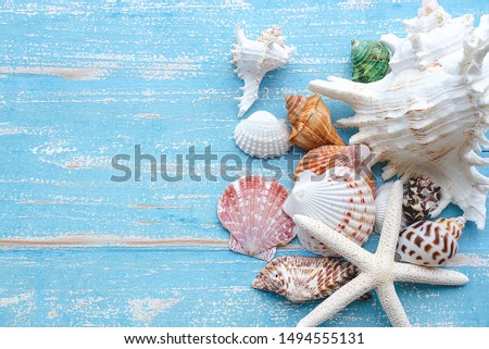 Background picture of summer A group of lost shells and marine animals lie on an old blue board. Flat lay background with copy space.
