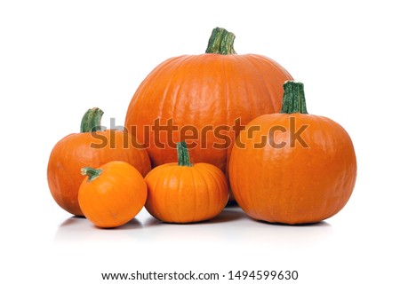 Pumpkins isolated over a white background. Royalty-Free Stock Photo #1494599630