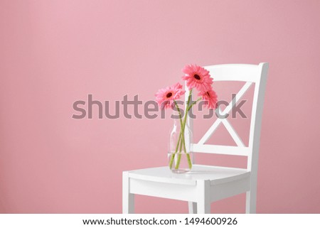 Vase with beautiful gerbera flowers on chair against color background