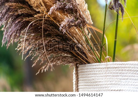 Close up of big basket with dry grass panicles on green garden natural blurred background 