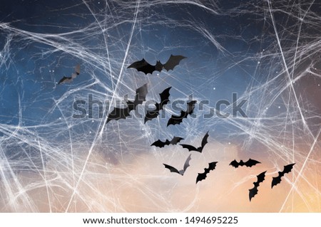 halloween, decoration and scary concept - black bats flying over starry night sky and spiderweb background