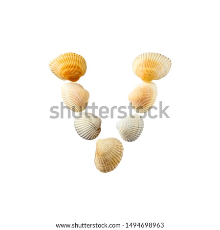 Letter "v" composed from seashells, isolated on white background
