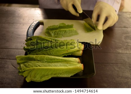 this pic show the hands of a technical officer cutting vegetables for check a pesticides residue