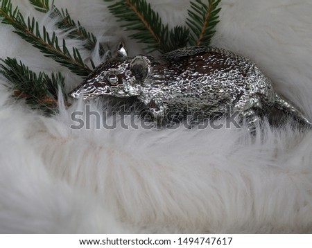 White metal rat 2020 symbol of the New year. Beautiful figure of a rat with a toy and a branch of spruce on a white background fur close up