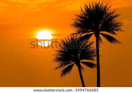 Golden Sunset at Jeddah Saudi Arabia