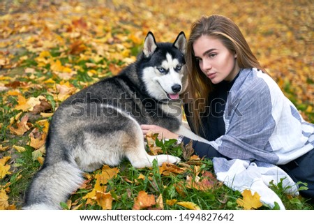 Young beautiful girl playing with her cute husky dog pet in evening autumn park covered with red and yellow fallen leaves