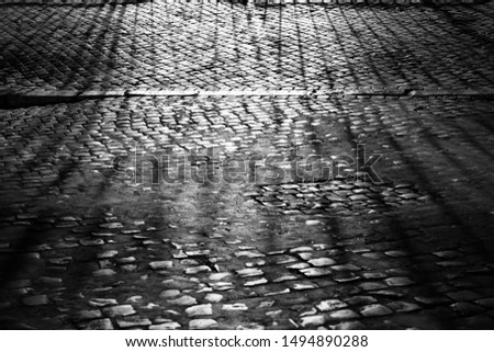 sanpietrini backlighting, typical pavement of the road in Italy. Rome