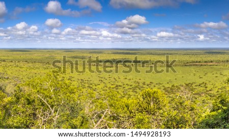 View at Nkumbe viewpoint in Kruger National park South Africa