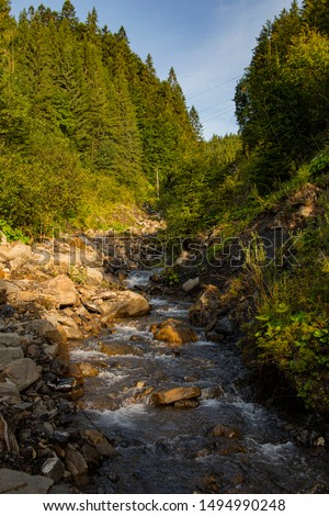 The river streams in the mountains