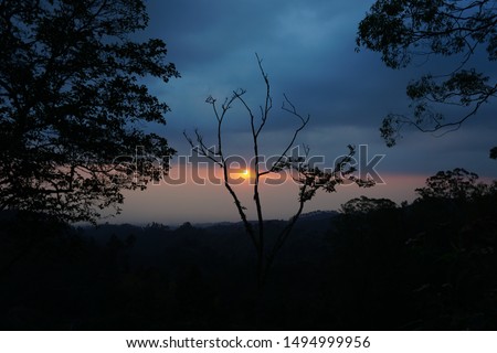 Natural Rising Sun Sunset on a tree or grass. Bright Skies Drama and Dark Land Rural Landscape Under Beautiful Colorful Sky On Sunset Dawn Sunrise.lang colored orange,the sun among the trees