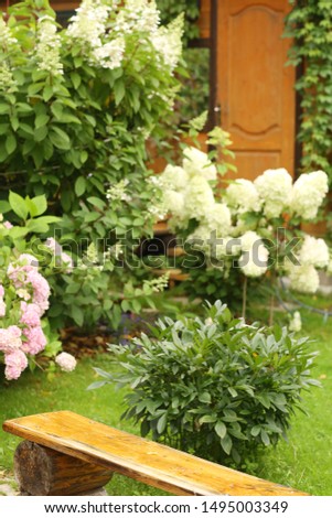beatuful formal garden with hydrangea flowers, gladiolus, flox and wood store summer green photo