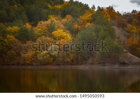 Autumn forest reflected in water. Colorful autumn morning in the mountains. Colourful autumn morning in mountain lake. Colorful autumn landscape.