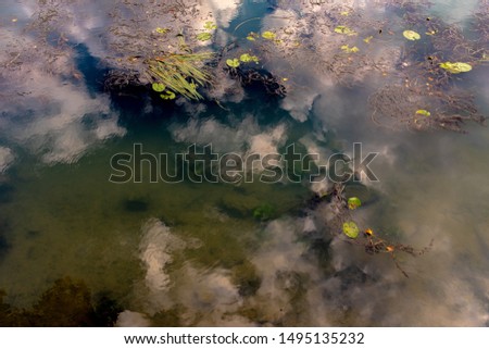 Sky reflecting on dark, almost still water, with various aquatic plants, Marne River, Nogent-sur-Marne, France