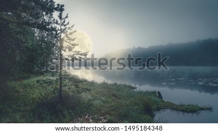 full moon on a mystical forest lake at night in fog