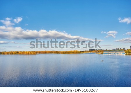 Autumn trees near the river, leaves on sand. Landscape in sunny day