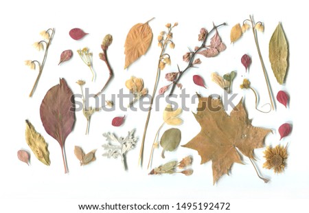 background of leaves and flowers