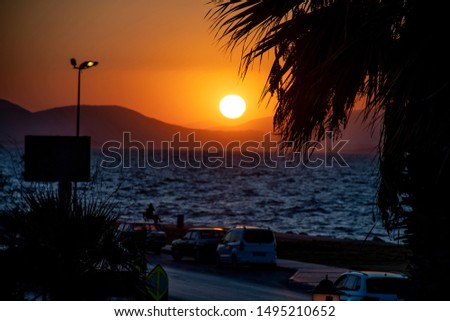 Silhouette of palm tree. sunset. The blue of the sea. Blue of the air, cars and road. Billboard wiew
