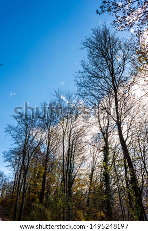 Autumnal nature with meadows and forests beautiful panorama calm day.