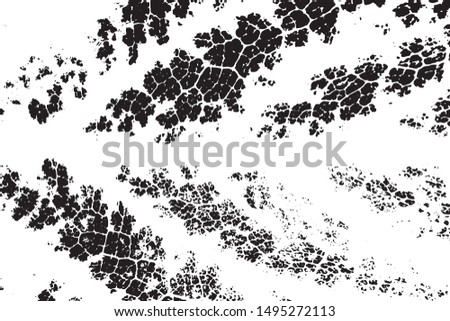 Grunge background black and white. Abstract vector monochrome texture of cracks, chips.
