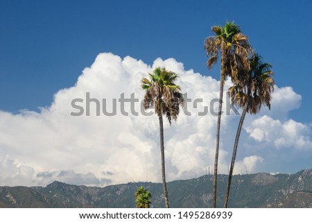 Image looking north of cumulonimbus clouds formed above the San Gabriel Mountains in Southern California due to excessive heat.