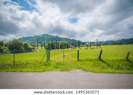Green lawn with blue sky. Green lawn background. Nature landscape background. Green grass texture. Spring landscape in sunny day.
