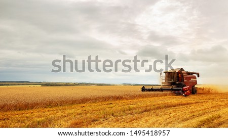 Combine harvester working on a wheat field. Seasonal harvesting the wheat. Agriculture. Royalty-Free Stock Photo #1495418957