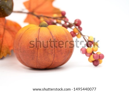 Halloween, Thanksgiving and Autumn composition. Orange pumpkin on white background with copy space
