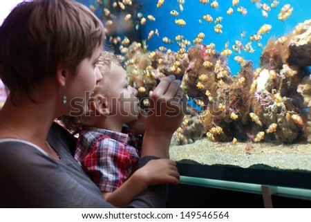 Mother and son are looking at fish at aquarium